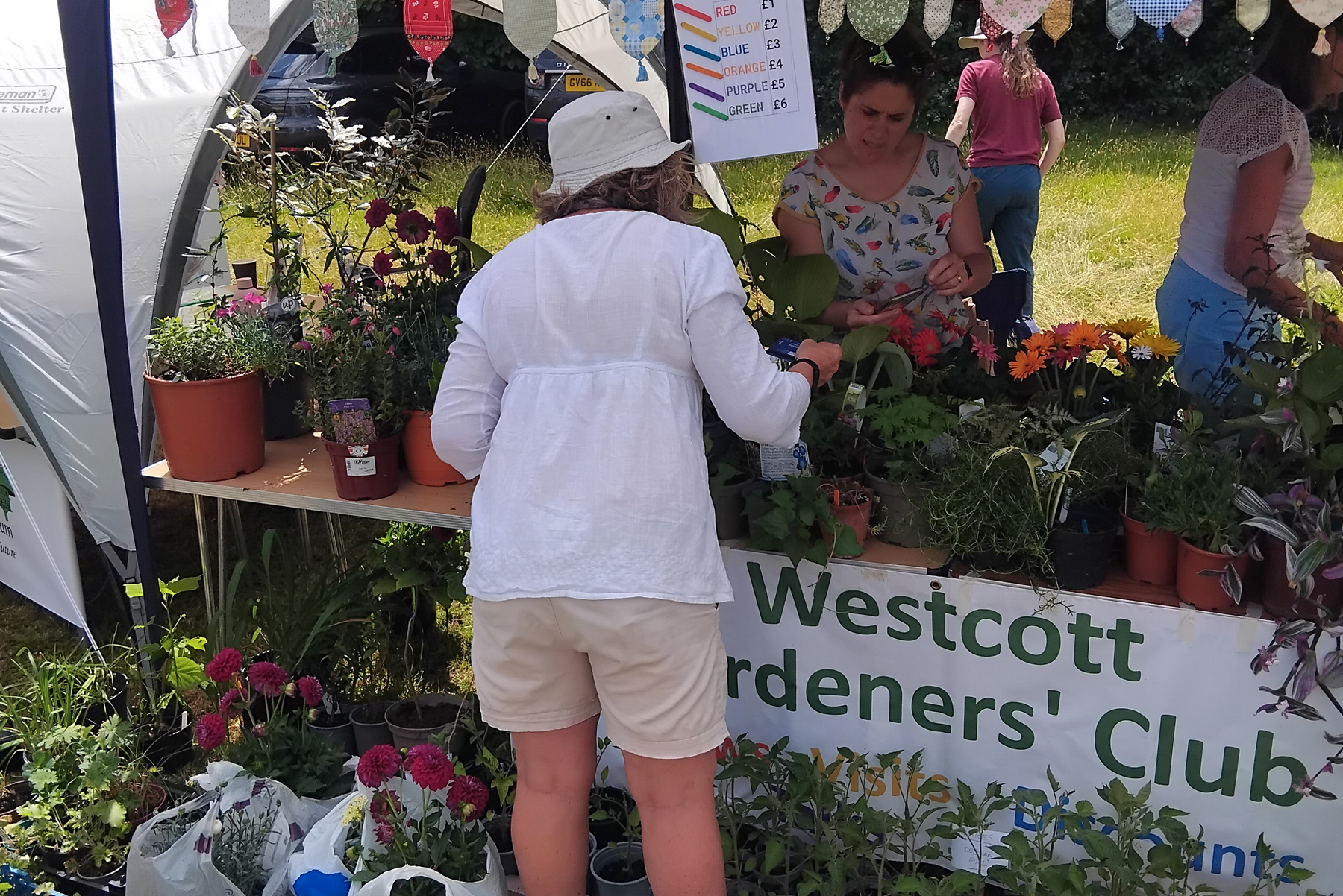 Seedling & Plant Sale